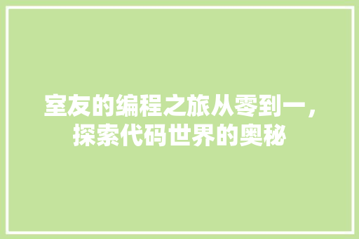 室友的编程之旅从零到一，探索代码世界的奥秘