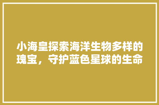 小海皇探索海洋生物多样的瑰宝，守护蓝色星球的生命线