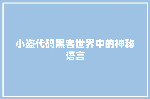 小盗代码黑客世界中的神秘语言