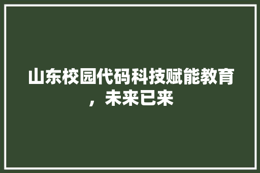 山东校园代码科技赋能教育，未来已来