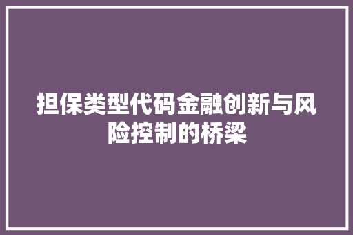 担保类型代码金融创新与风险控制的桥梁
