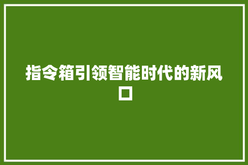 指令箱引领智能时代的新风口