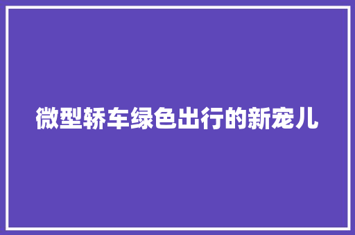 微型轿车绿色出行的新宠儿