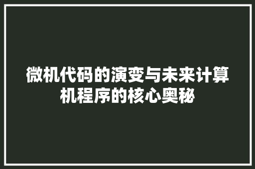 微机代码的演变与未来计算机程序的核心奥秘