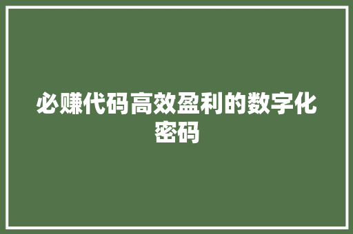 必赚代码高效盈利的数字化密码
