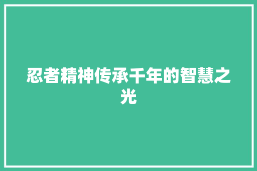 忍者精神传承千年的智慧之光