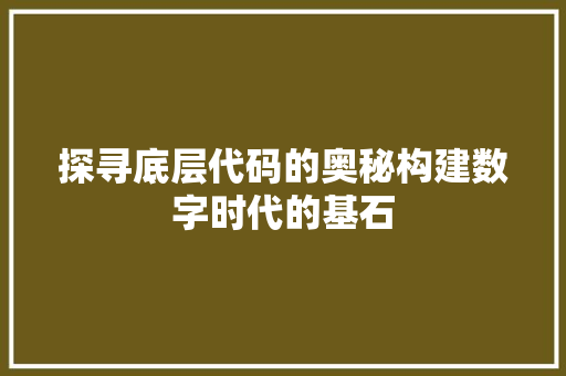 探寻底层代码的奥秘构建数字时代的基石