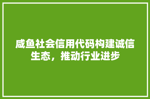 咸鱼社会信用代码构建诚信生态，推动行业进步