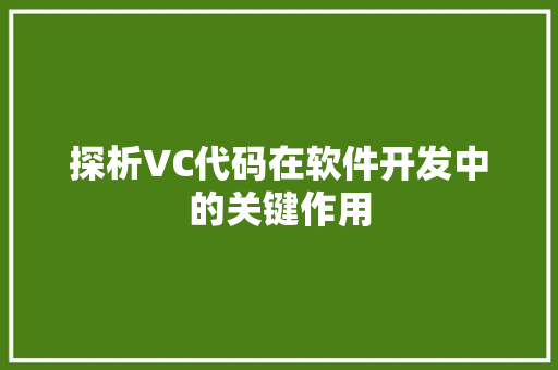 探析VC代码在软件开发中的关键作用