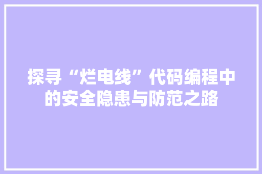 探寻“烂电线”代码编程中的安全隐患与防范之路
