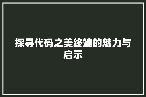 探寻代码之美终端的魅力与启示