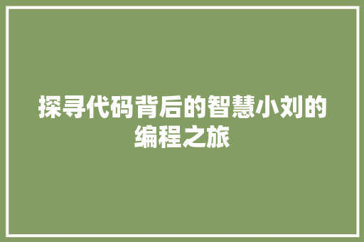 探寻代码背后的智慧小刘的编程之旅
