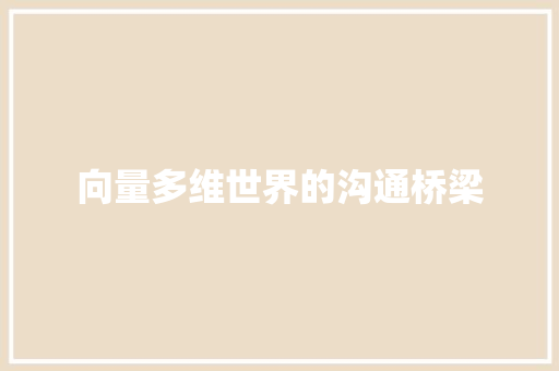 向量多维世界的沟通桥梁