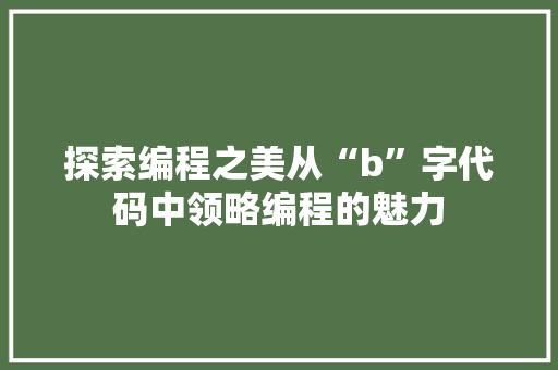 探索编程之美从“b”字代码中领略编程的魅力
