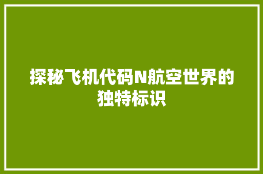 探秘飞机代码N航空世界的独特标识