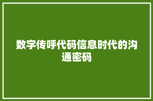 数字传呼代码信息时代的沟通密码