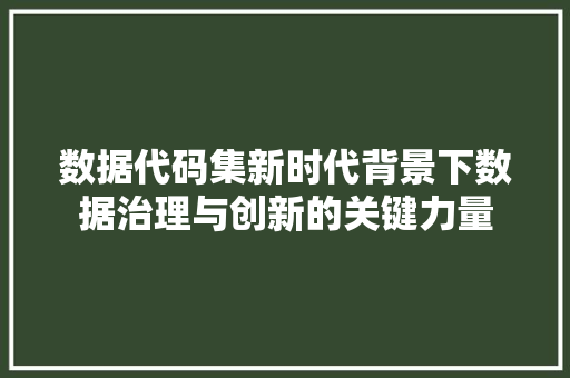 数据代码集新时代背景下数据治理与创新的关键力量