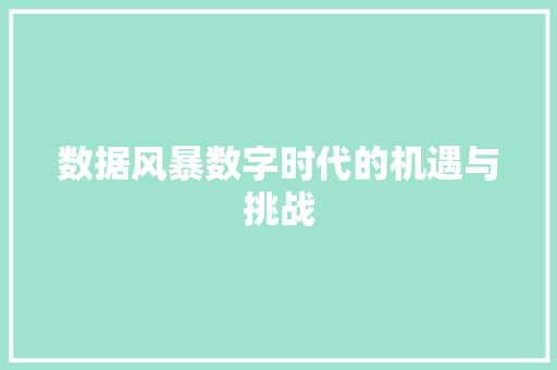 数据风暴数字时代的机遇与挑战
