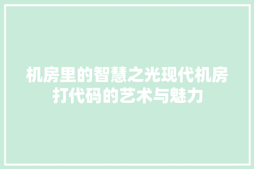 机房里的智慧之光现代机房打代码的艺术与魅力