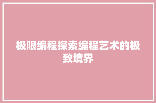 极限编程探索编程艺术的极致境界