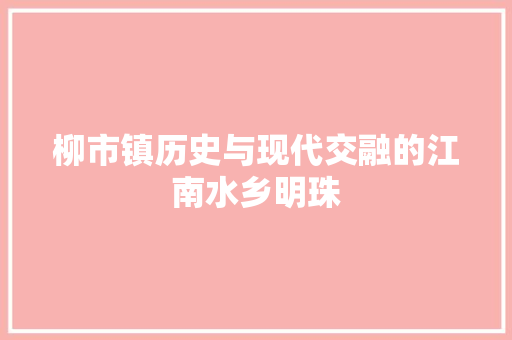 柳市镇历史与现代交融的江南水乡明珠