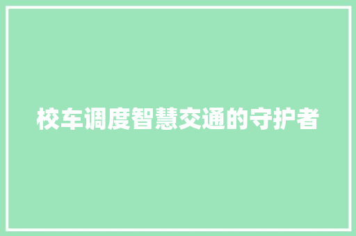 校车调度智慧交通的守护者