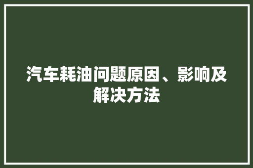 汽车耗油问题原因、影响及解决方法
