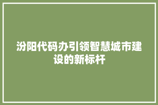汾阳代码办引领智慧城市建设的新标杆