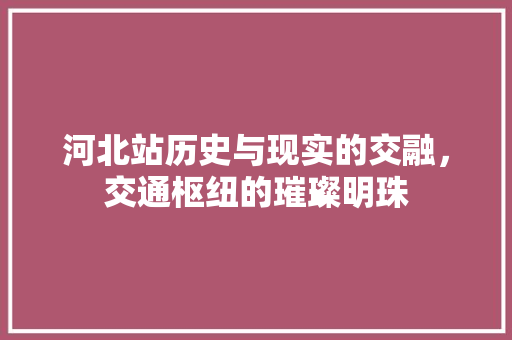 河北站历史与现实的交融，交通枢纽的璀璨明珠