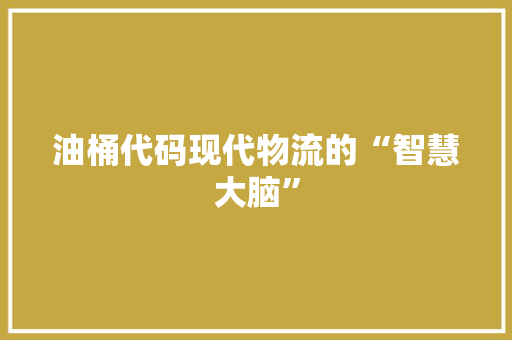 油桶代码现代物流的“智慧大脑”