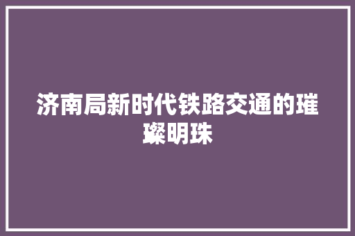 济南局新时代铁路交通的璀璨明珠