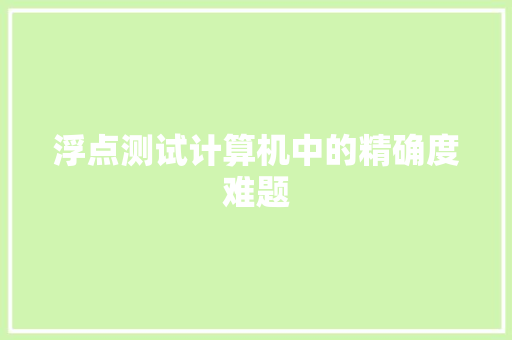 浮点测试计算机中的精确度难题