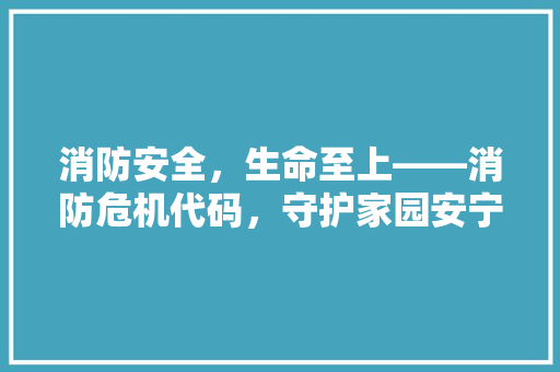 消防安全，生命至上——消防危机代码，守护家园安宁
