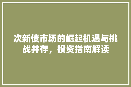 次新债市场的崛起机遇与挑战并存，投资指南解读