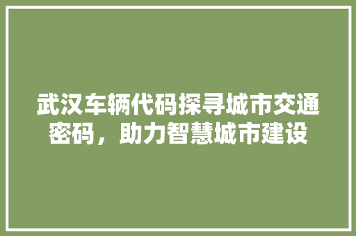 武汉车辆代码探寻城市交通密码，助力智慧城市建设