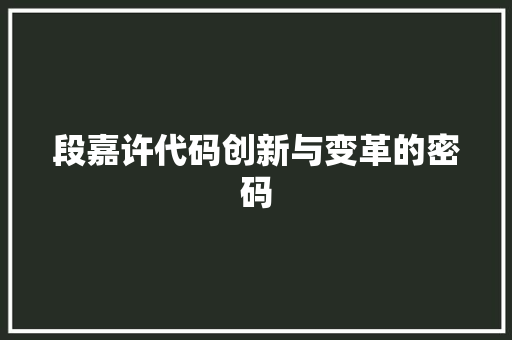 段嘉许代码创新与变革的密码