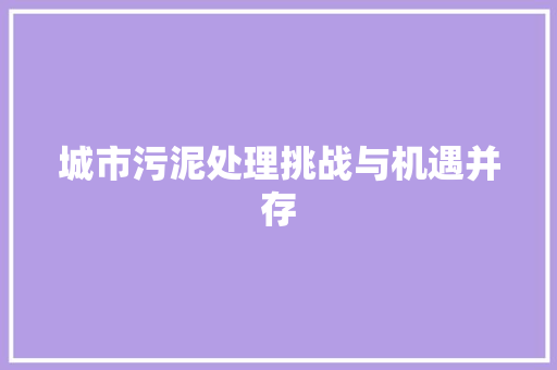 城市污泥处理挑战与机遇并存