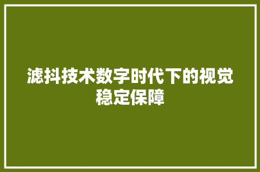 滤抖技术数字时代下的视觉稳定保障