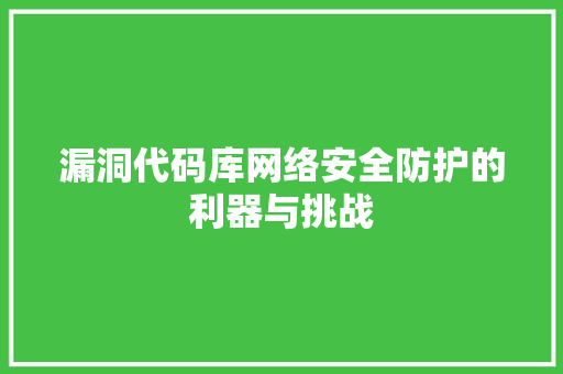 漏洞代码库网络安全防护的利器与挑战