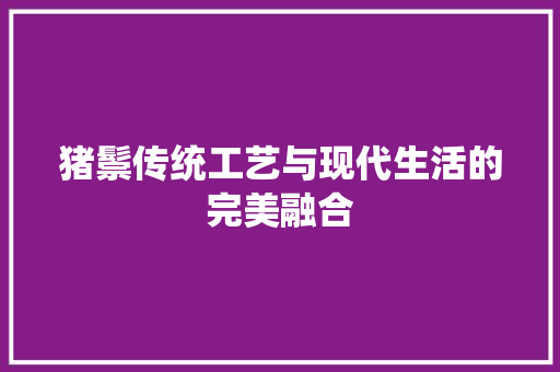 猪鬃传统工艺与现代生活的完美融合