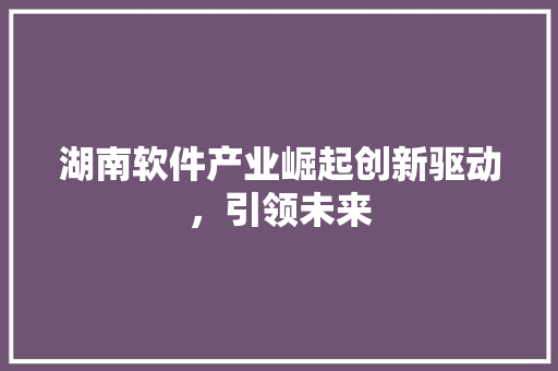 湖南软件产业崛起创新驱动，引领未来