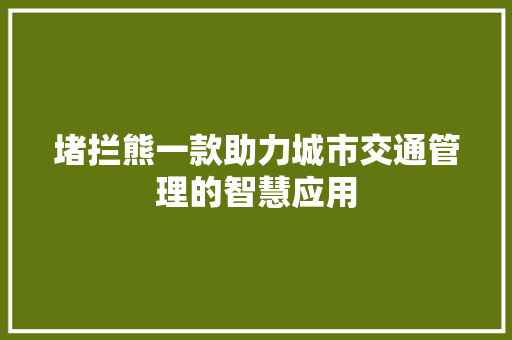 堵拦熊一款助力城市交通管理的智慧应用
