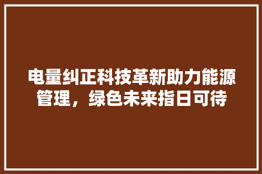 电量纠正科技革新助力能源管理，绿色未来指日可待