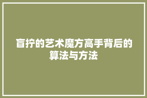 盲拧的艺术魔方高手背后的算法与方法