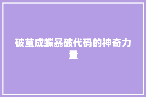 破茧成蝶暴破代码的神奇力量