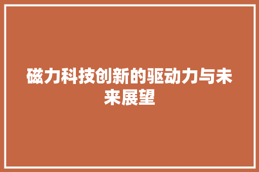 磁力科技创新的驱动力与未来展望