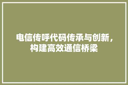 电信传呼代码传承与创新，构建高效通信桥梁