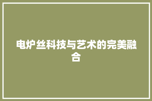 电炉丝科技与艺术的完美融合