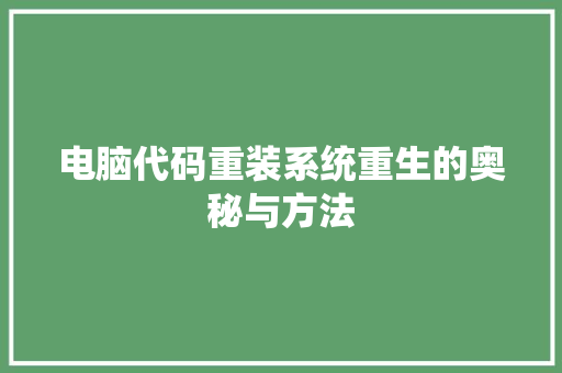 电脑代码重装系统重生的奥秘与方法