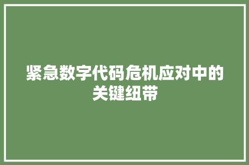 紧急数字代码危机应对中的关键纽带